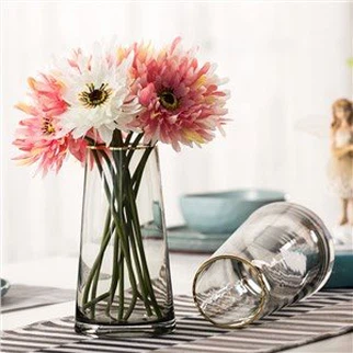 Home Decorative Glass Pots for Flower